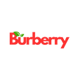 BURBERRY LLC